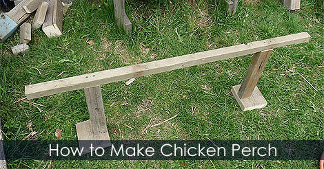 Chicken perches - How to build wooden chicken perch for chicken coop