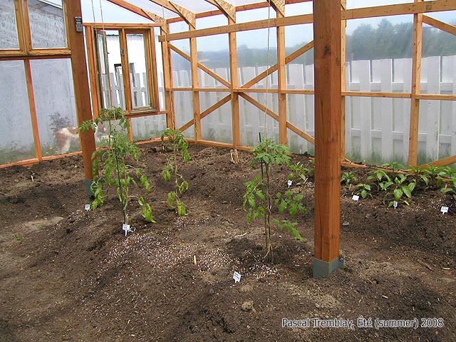 Build Garden Greenhouse Wood Frame Greenhouse Design