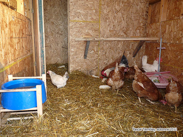 Made USA Hen House - Hen Coops - Backyard poultry house - DIY mobile hen house PLan