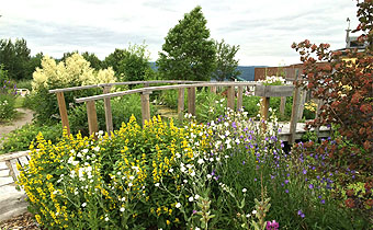 Encyclopdie des Plantes - Identifier une plante