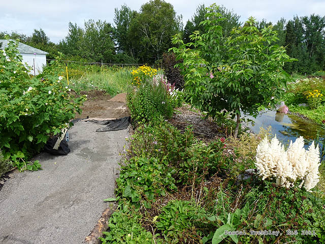 Construire des passages - Construire un sentier - Construire un chemin - Construire une allée pour jardin