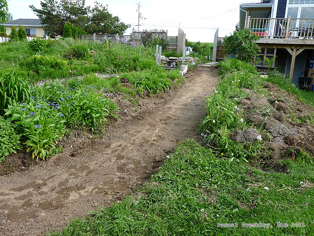 Sentier de jardin - Allée de jardin - Chemin de Jardin