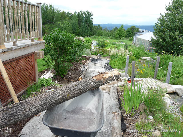Bordures de jardin pas cher - Comment Installer des bordures de jardin - Bordures pour allées
