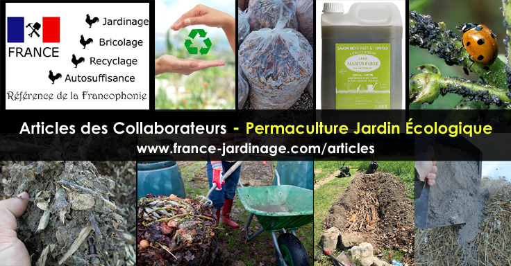 Permaculture