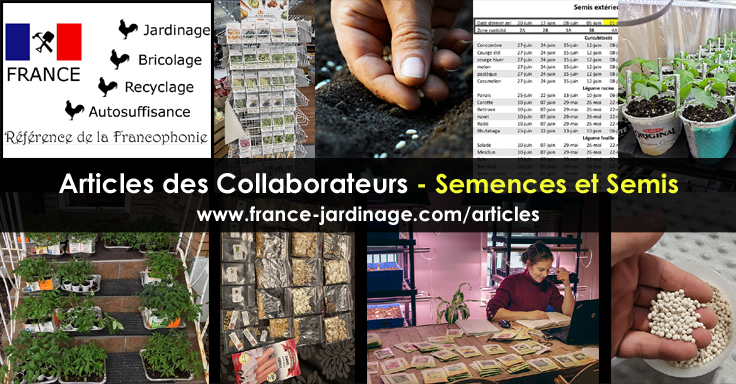 Semences de légumes