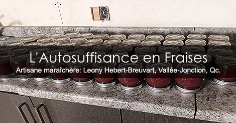 Comment devenir autosuffisant en fraises