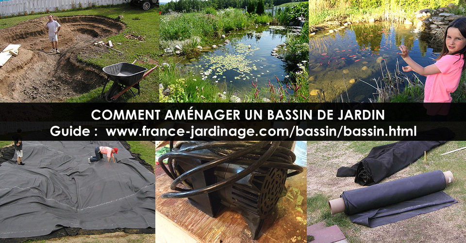 Bassin de jardin