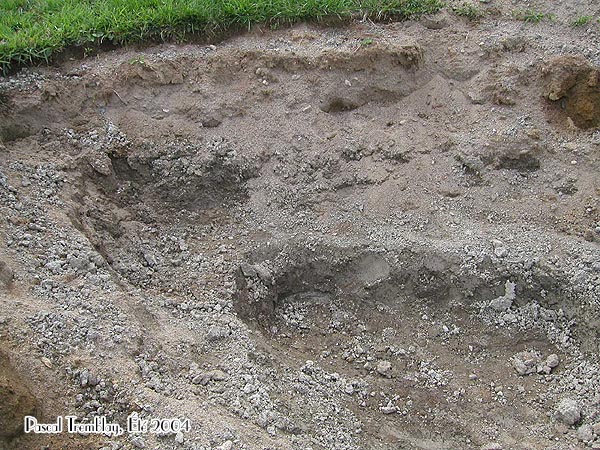 Construire tang - Profondeur et creusage Jardin d'eau - creuser un bassin de jardin