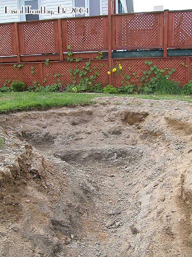 Creuser un tang - Bassin aquatique - Jardin d'eau - Plan de construction - Jardin aquatique