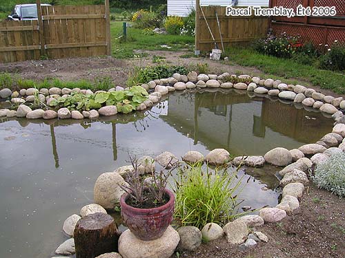 Faire un Jardin d'eau - Plan de bassin d'eau - Installer Bassin pr�moul�