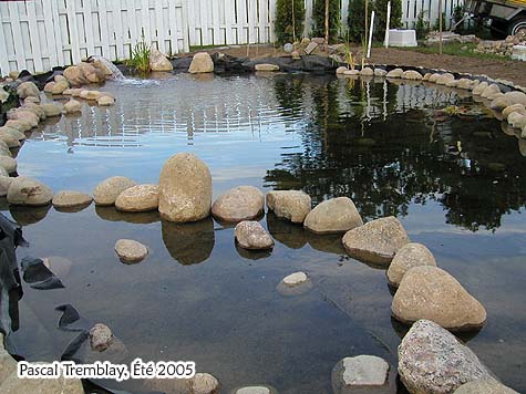 Bassin ext�rieur - Jardin d'eau - Am�nagement paysager - Concevoir un bassin d'eau