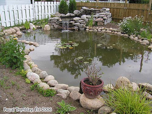 Jardin d'eau - Bassin extrieur - tang - construire un bassin d'eau