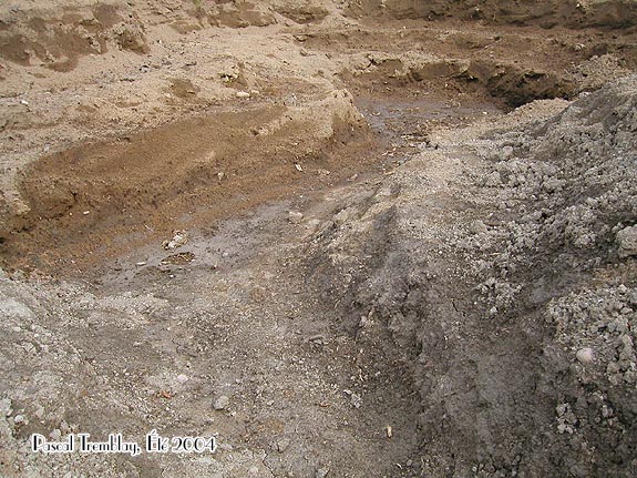 Amnager un bassin d'eau au jardin - tang - Jardin d'eau - Profondeur bassin