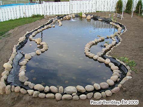 Faire bordures d'un bassin ext�rieur - Berges Jardin aquatique - Bordures �tang de jardin