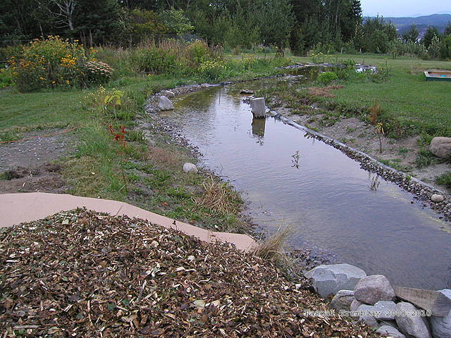 Paillis et plate-bande - Chaîne trophique
