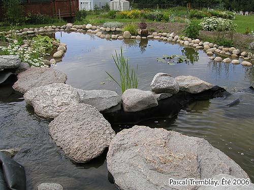 Filtre pour Cascade d'eau - Filtre de bassin extérieur - Matériaux pour cascade