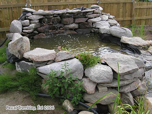 Plan de Cascade d'eau pour bassin - Cascade de l'étang - Cascade Ruisseau