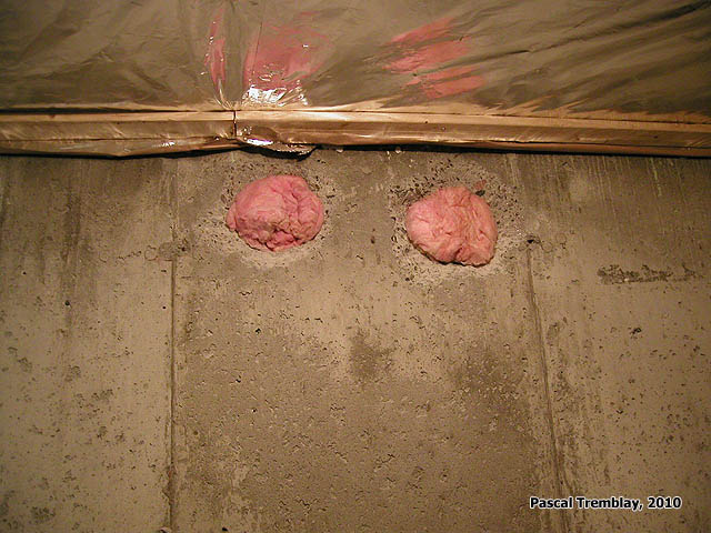 Chambre Froide pour les conserves - Plan de fabrication - Caveau � l�gumes