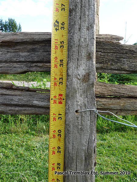 Amnager une Clture en perches de cdre - Faire une clture pas cher