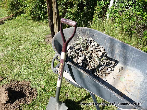 Clture en perches de cdre dcorative - Clture rurale ancestrale - Ide au jardin