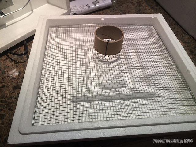 Couveuse et Bac à eau - Humidité couveuse - Humidité incubateur - taux humidité couveuse