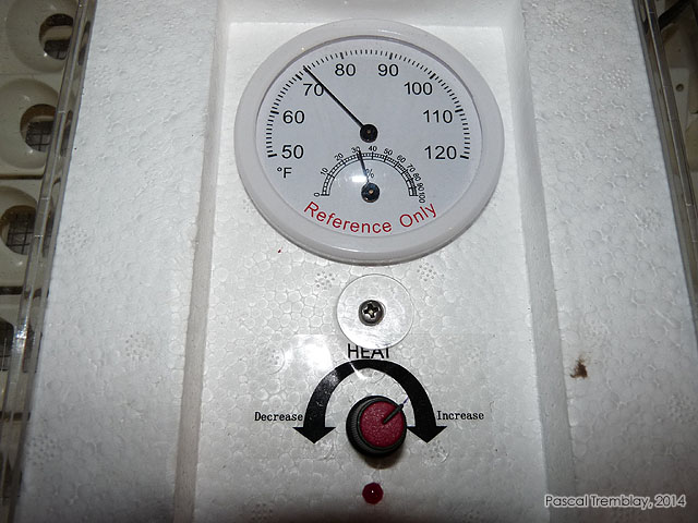 Fonctionnement Couveuse - Couvercle couveuse - Incubateur pas cher