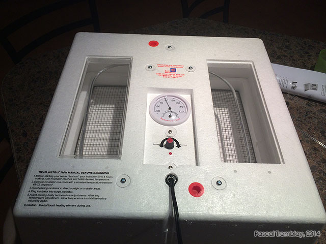 Couveuse automatique avec panneau de contrôle de la température et humidité - farm innovators