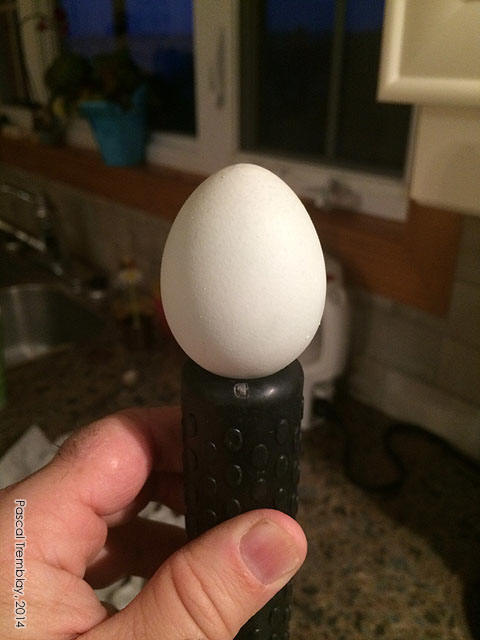 achat mire-oeuf - Mire-oeufs - Mire-oeufs - Mirage oeuf - Lampe mireuse - Mirage d'un oeuf - Mirer oeuf - mire oeuf