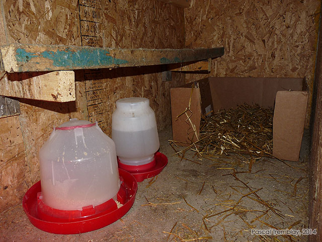Abreuvoir pour poussins - Nourriture Poussins - Mangeoire pour volaille - Éleveuse pour poussins - Construire une Éleveuse pour poussins