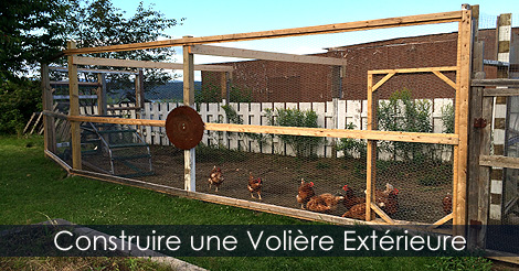 Construire une Volière pour Oiseaux - Conseils Plan Étapes de construction