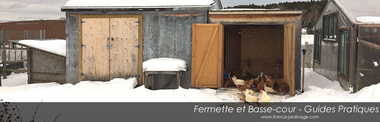 Basse-cour et Fermette - Guides Idées et Plans de Projets à la Petite Ferme