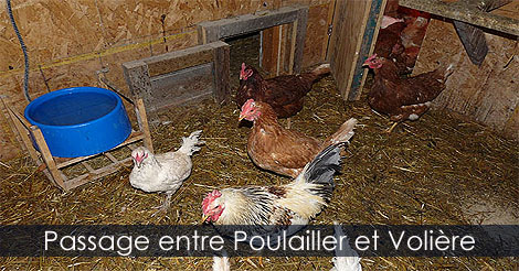 Construire un passage ou chemin entre un Poulailler et une Volière. Aménagement de poulaillers.