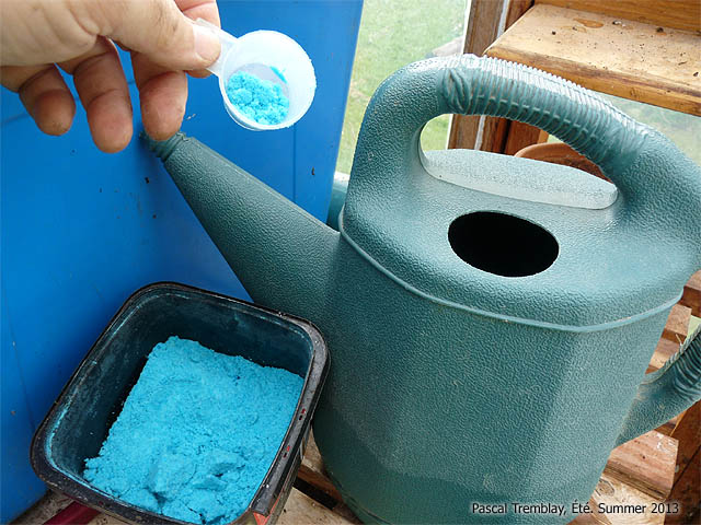 Fertiliser les géraniums - Engrais pour géraniums - Comment fertiliser les géraniums en pots