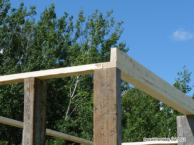 Hangar à bois faites-le vous même - Projet extérieur