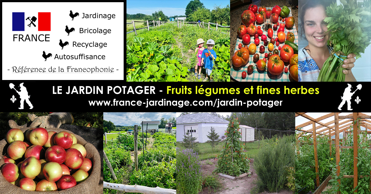 Potager