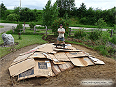 Plate-Bande sans retirer le gazon - Guide d'aménagement de plates-bandes