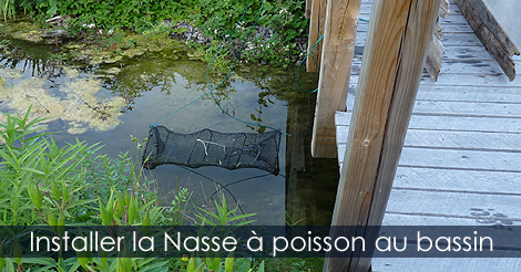 Nasse pour les poissons de bassin
