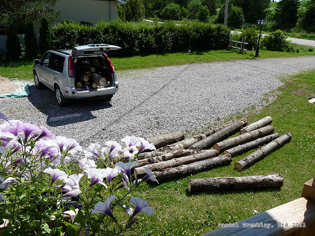 Pavé en Aménagement Paysager - Bordure Pavé Uni