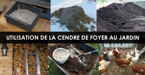 Utilisation de la cendre au jardin