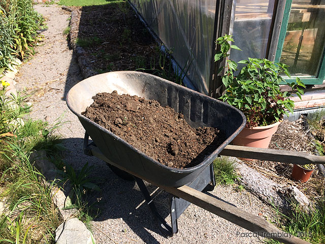 Préparer le terreau de plantation pour planter les pommiers - Instructions pour planter un pommier - Mélange de terre pour pommiers