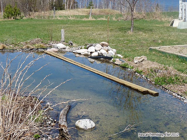 Courber le bois dans l'eau - Un Pont au Jardin - Construction d'un pont de Jardin étape par étape