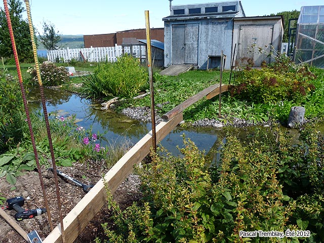 Pont pour bassin ext�rieur en arc en bois - Id�es au jardin aquatique