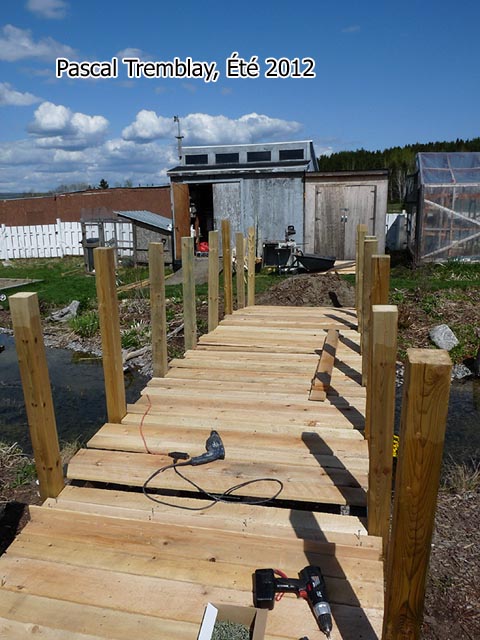 Pont de Québec - Pont Dubuc - Pont Laviolette - Pont Champlain - Pont d'Avignon - Pont de la Confédération