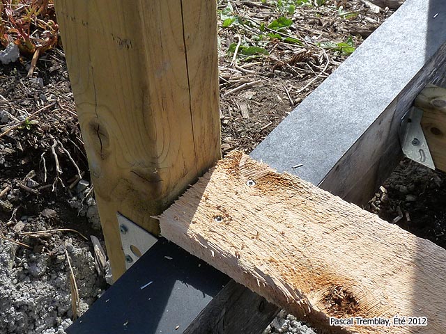 Achat Vente de Pont - Plan de construction d'un Pont en Bois