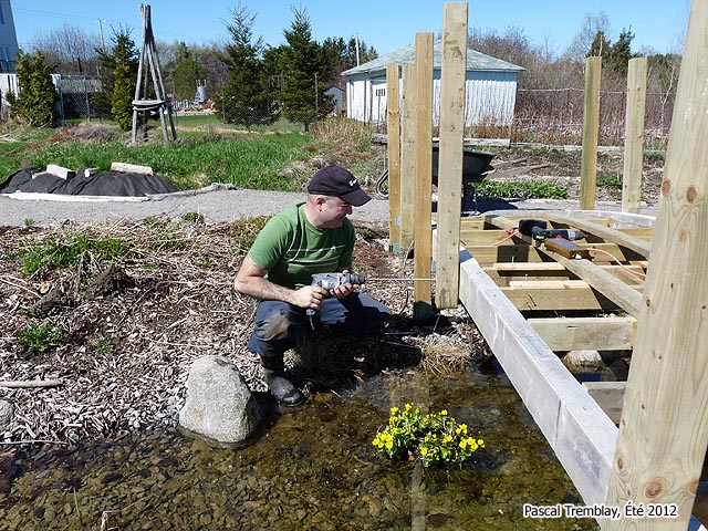 Pont japonais pour bassin extérieur et étang Jardin d'eau
