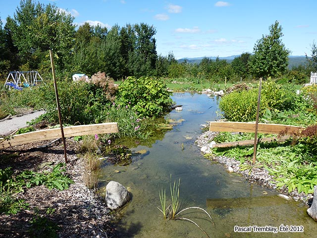 Installation des arcs du pont - Technique de construction d'un Pont
