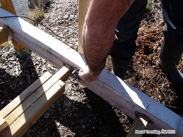 Plan de Pont gratuit pour aménagement paysager