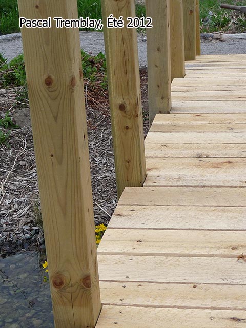 Pont pour étang en arc en bois - Ingénierie des Ponts - Architecture Pont en Bois
