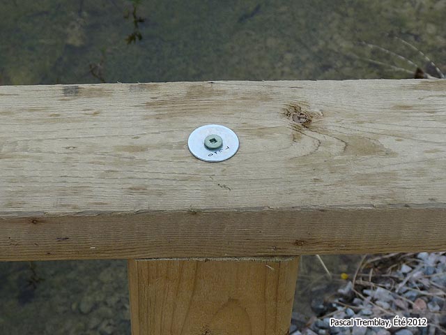 Le Pont de l'Étang - Étapes de construction d'un Pont au jardin aquatique