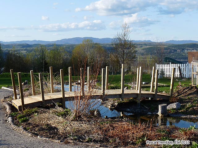 Construction de Ponts - Plan Design et Idées au Jardin Aquatique - Plans gratuits
